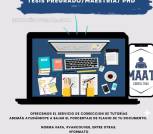   Asesoría profesional tesis 