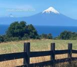 Parcela 5.000m2 Puerto Varas