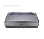 Epson Expression 11000XL- Photo