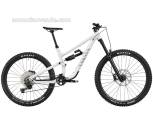 2025 Canyon Torque 6 Mountain Bike