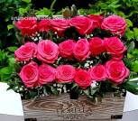 Arreglos Florales, Santo Domingo!