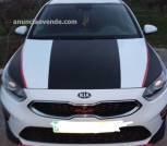 Coche Kia con 2 años