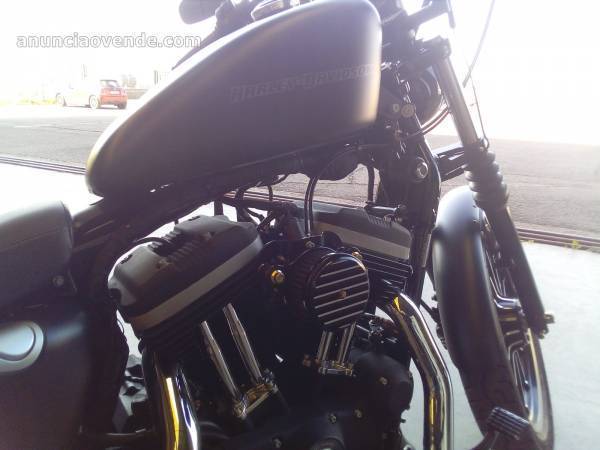 Harley Davidson Sportster Iron Xl 883  1