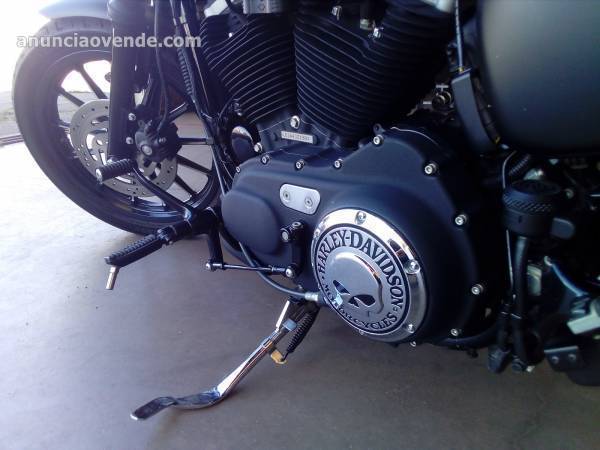 Harley Davidson Sportster Iron Xl 883  6