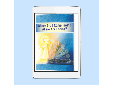Ebook  Where Did I Come From? Where Am I Going? Life after death