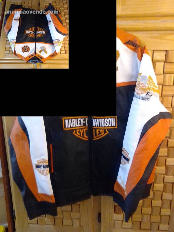 Chamarra Harley Davidson  1