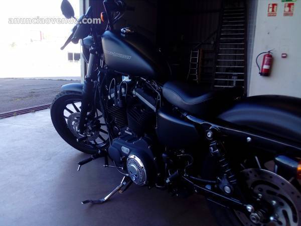 Harley Davidson Sportster Iron Xl 883  5