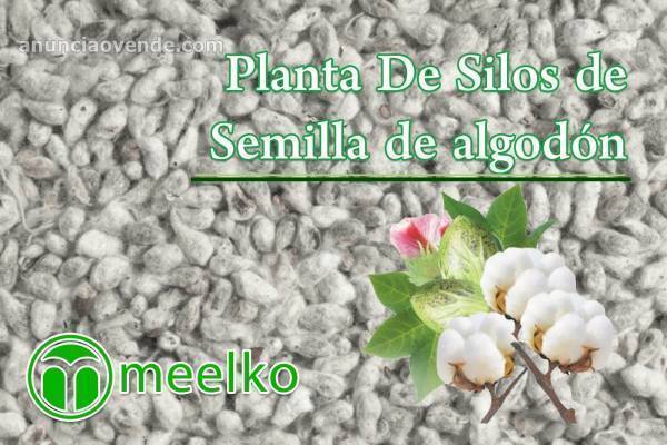 Planta De Silos de Semilla de algodón 3