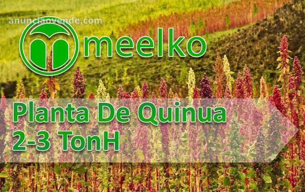 Planta De Quinua 2-3 TonH 1