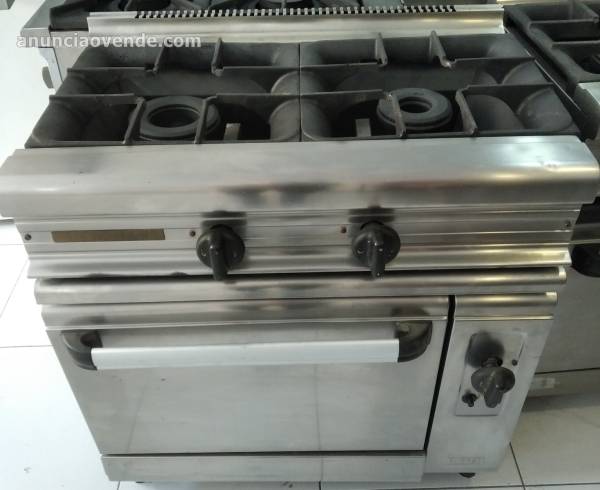 Cocina ind. Gas 2 Fuegos Eurast  1