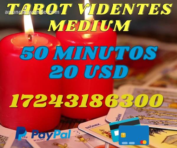 Tarot y medium las 24 horas 1