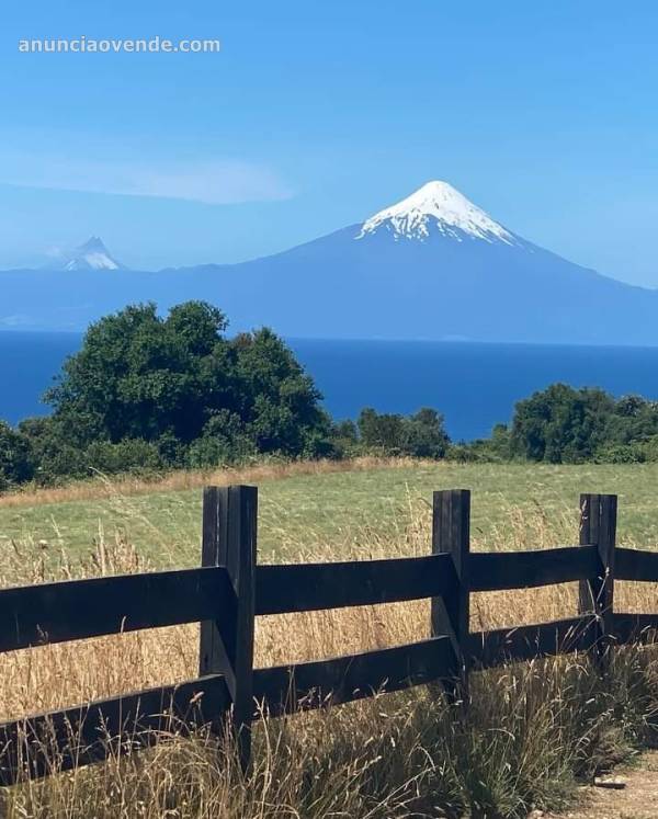 Parcela 5.000m2 Puerto Varas 1