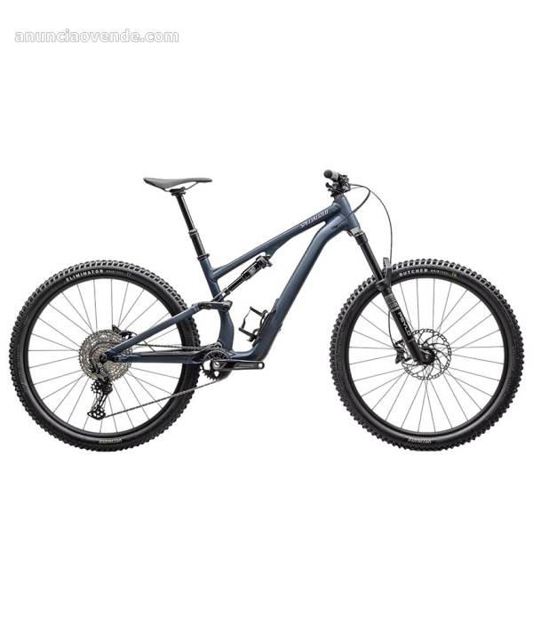 2025 Specialized Stumpjumper  1