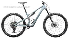 2025 Specialized Mountain Bikes