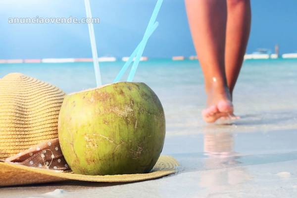 Vacaciones En Las Playas Del Caribe 6