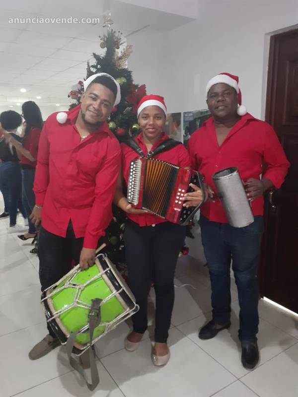 Para Sus Fiestas, Violinistas y mas 5