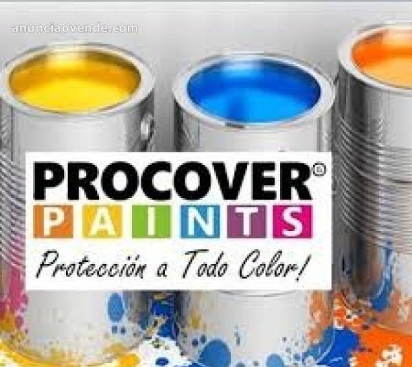 Venta de Pinturas de todo tipo!! 1
