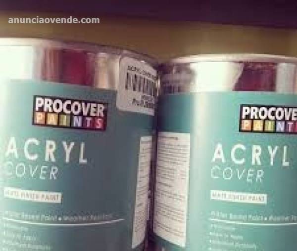 Venta de Pinturas de todo tipo!! 4