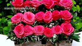 Arreglos Florales  Santo Domingo!