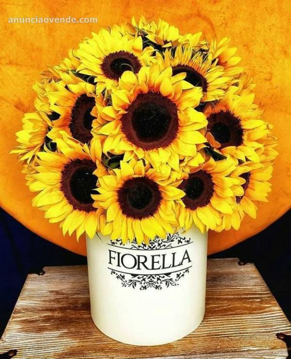 Arreglos Florales, Santo Domingo! 4