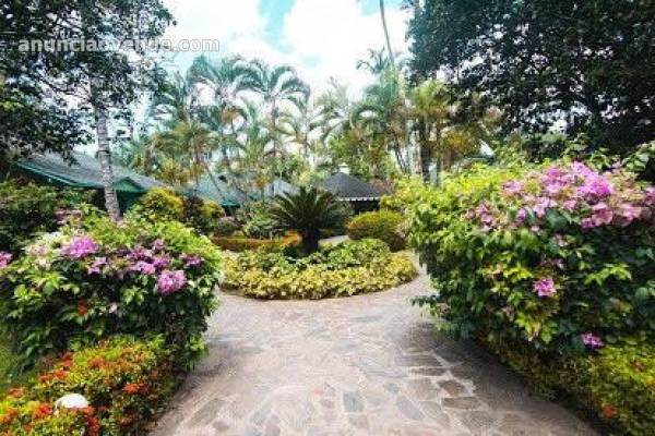 Villa Paradisiaca En Las Terrenas! 2
