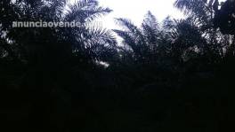 Fincas En Venta  Monte Plata!!