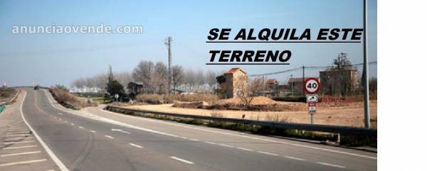 TERRENO EN CARRETERA NACIONAL ll KM 459  1