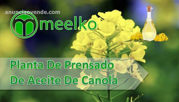 Planta De Prensado De Aceite de Canola 1