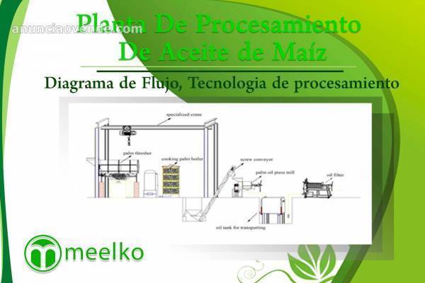 Planta De Procesamiento De Aceite De Maí 2