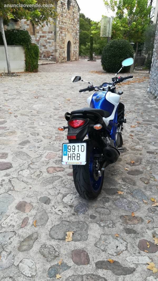 Vendo Suzuki Gladius 650 A2 4