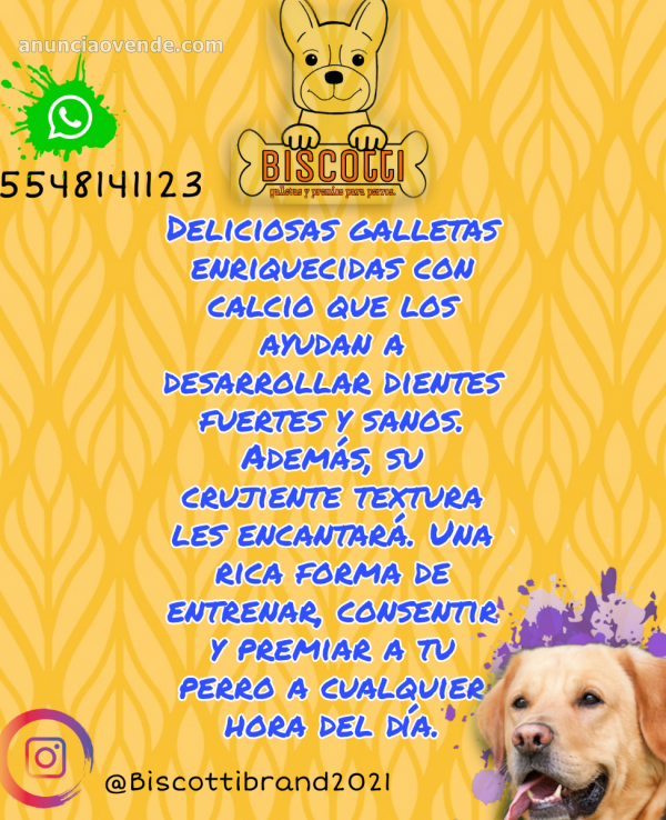 Galletas premios para perro biscottibran 2