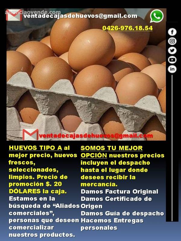 Huevos al mayor al mejor precio  5