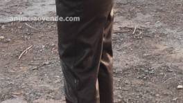 Pantalón polipiel marrón con lazo