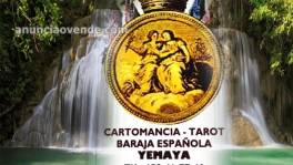 Tarotista y Vidente 